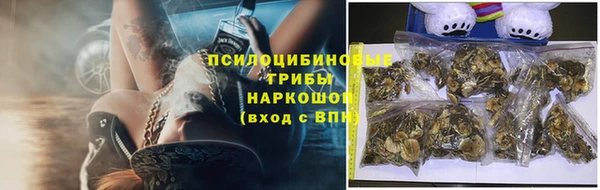 мяу мяу мука Абаза