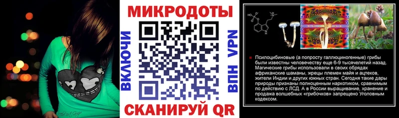 Псилоцибиновые грибы прущие грибы  Псков 
